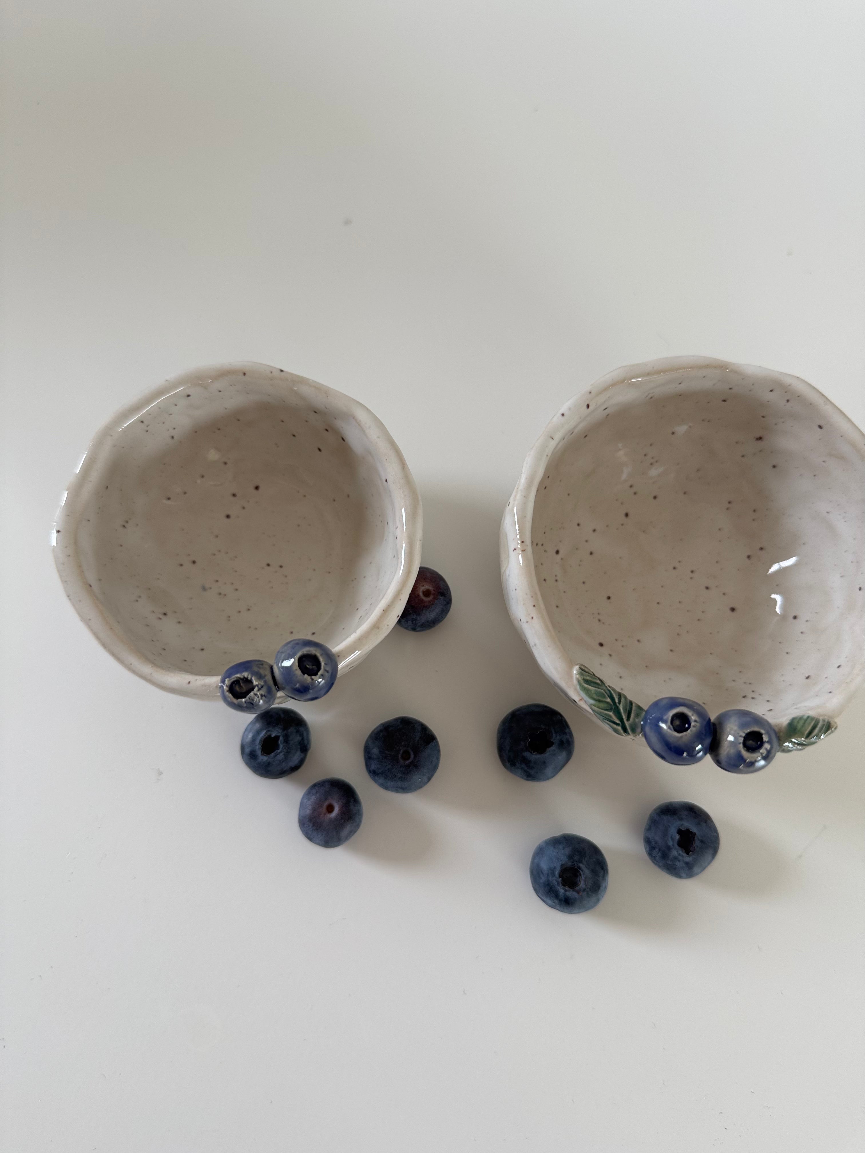 Mini indelių rinkinys „Mėlyna tyla“