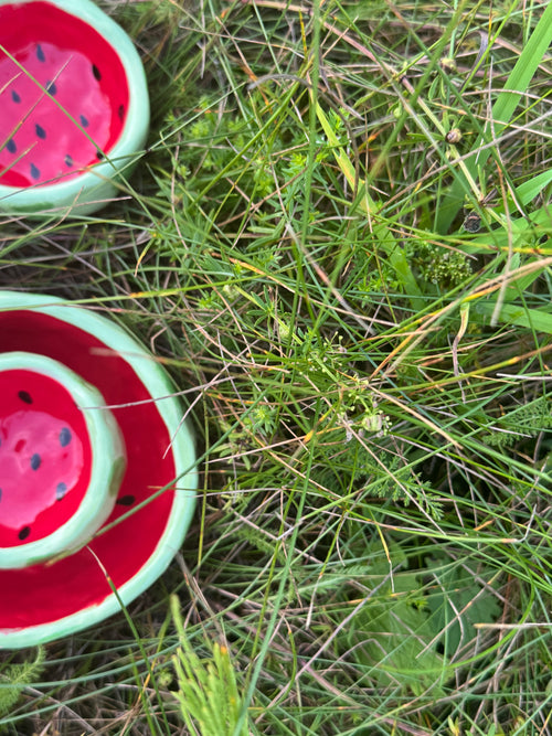 Arbūzai 2 mini dubenukų rinkinys